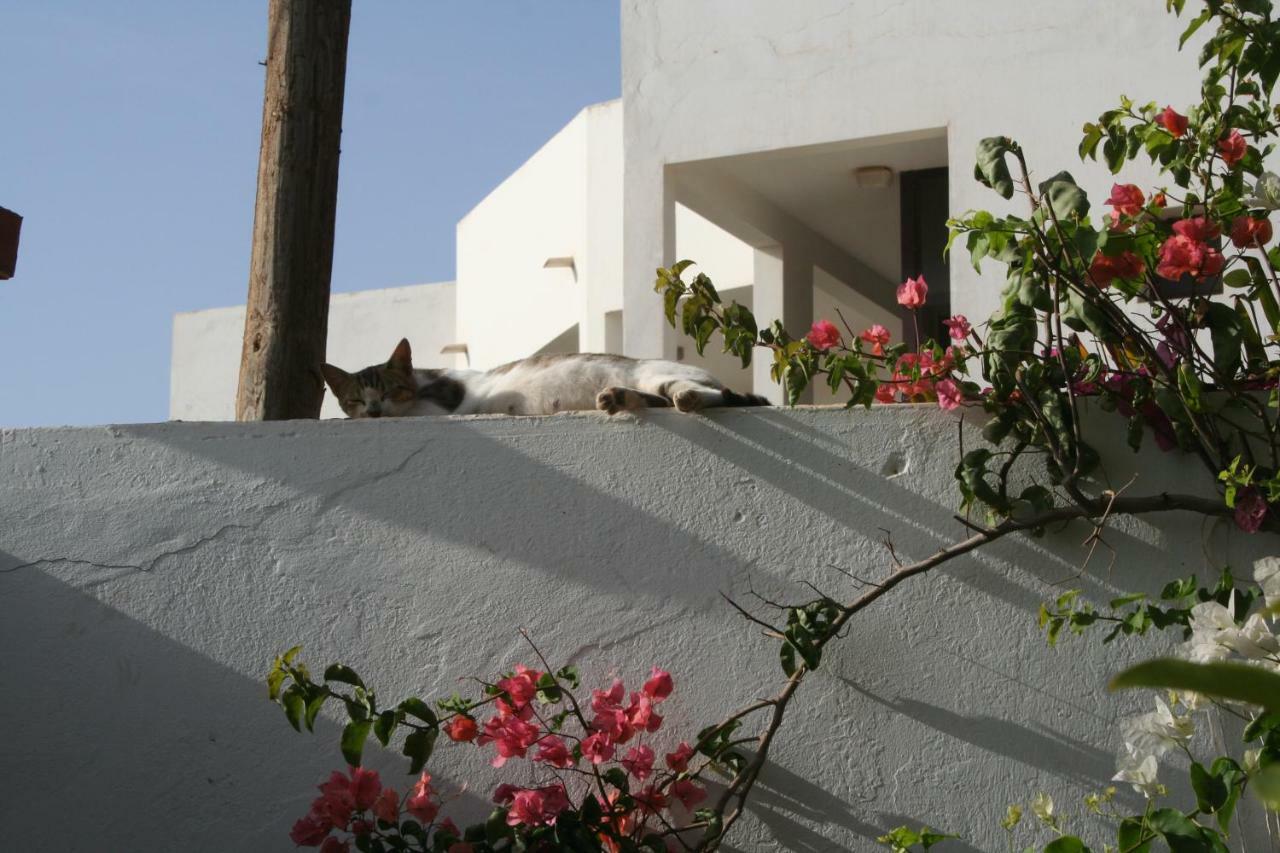 Auberge Keur Diame Дакар Экстерьер фото